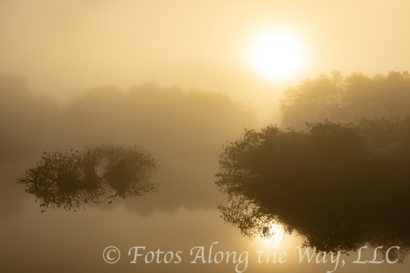 Morning Fog on Lowcountry Lake (South Carolina)