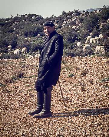 Cretan Shepard Resting (Greece)
