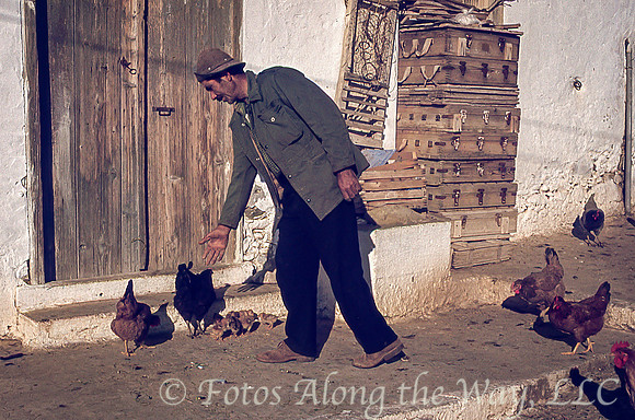Feeding Chiickens (Greece)