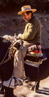 Huaso Rider (Chile)