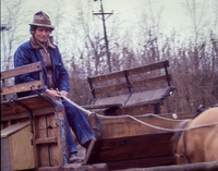 Vineyard Worker on Carriage (Chile)
