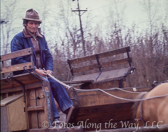 Vineyard Worker on Carriage (Chile)