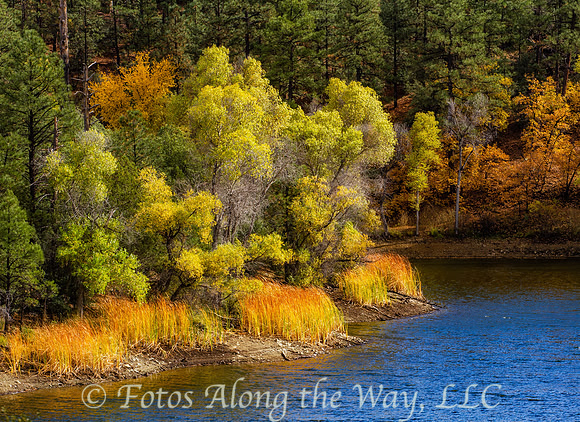 Autumn Color at Lynx Lake (Prescott, Arizona)