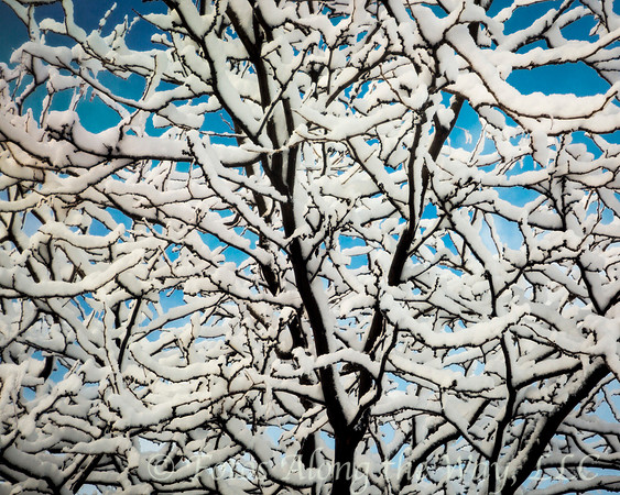 Photo by Michael K. McDermott