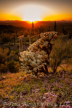 Photo by Michael K. McDermott