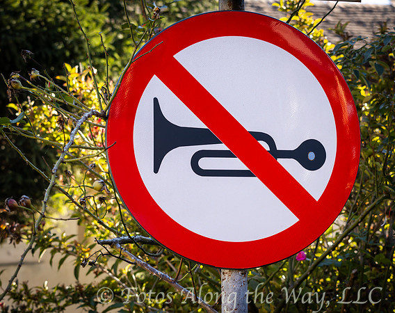 No Horn Sign