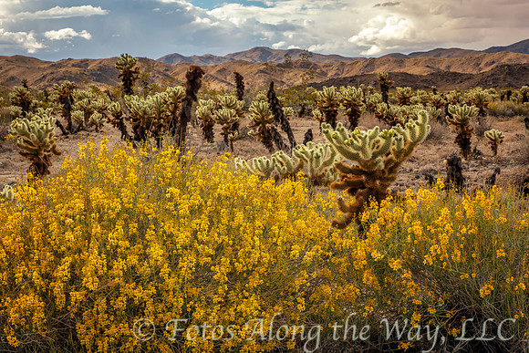 Photo by Michael K. McDermott