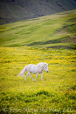 Photo by Michael K. McDermott