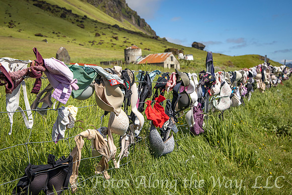 Fence of Bras (Iceland)