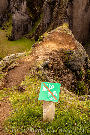 Don't Step on the Flowers! (Iceland)