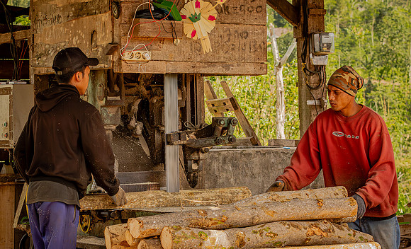 Sawing Wood for Crate Slats (2018)