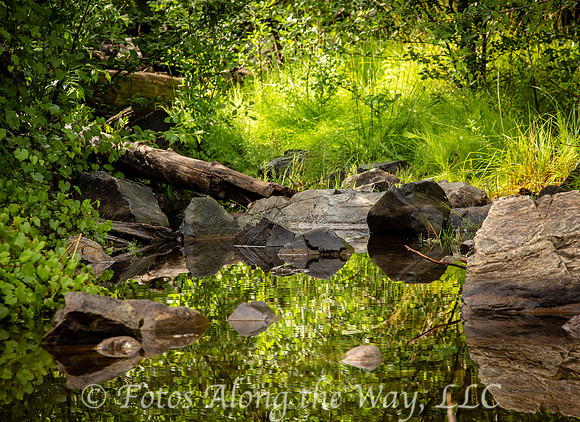 Lynx Creek Reflection (Arizona)