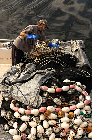 Fisherman Handling Ropes (Maine)