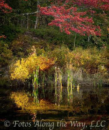 Autumn Glow on Riverside (Maine)