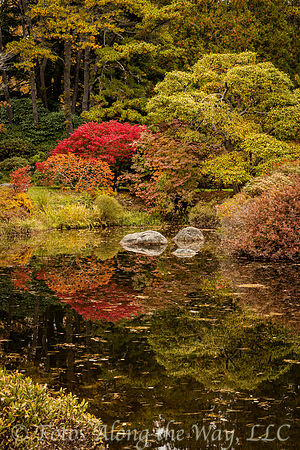 Autumn Reflection in Japanese Garden (Maine)