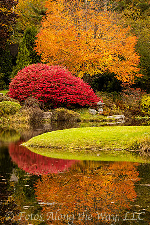 Japanese Garden in Autumn (Maine)