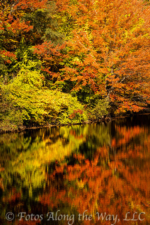 Autumn Leaves Reflection -1 (Maine)