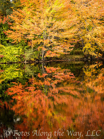 Autumn Leaves Reflection - 3 (Maine)