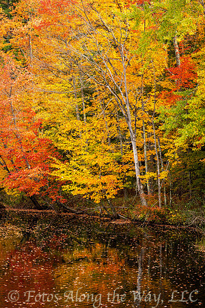 Autumn Leaves Reflection - 4 (Maine)