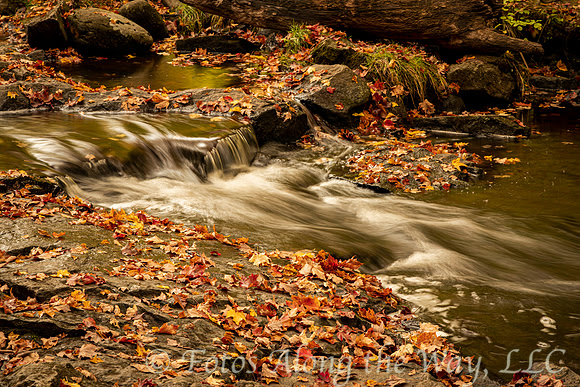 Rocky Creek & Autumn Leaves (Maine)