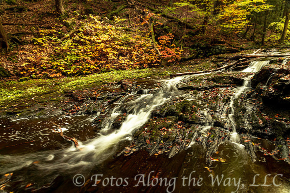Rocky Creek in Autumn (Maine)