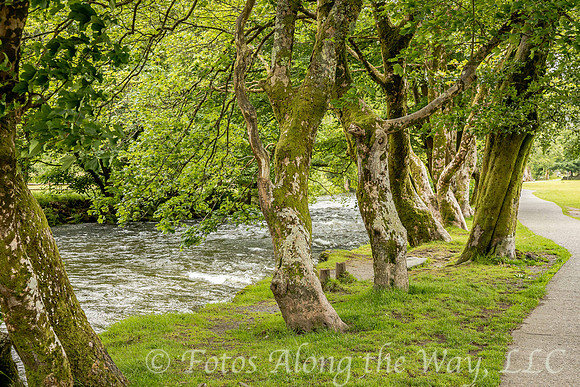 River Glaslyn in Wales