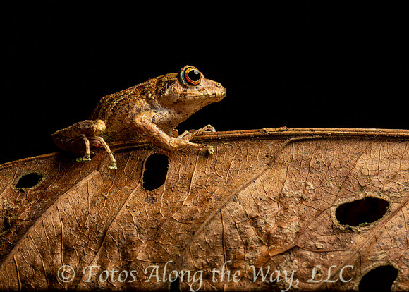 Photo by Michael K. McDermott