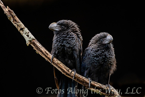 Photo by Michael K. McDermott