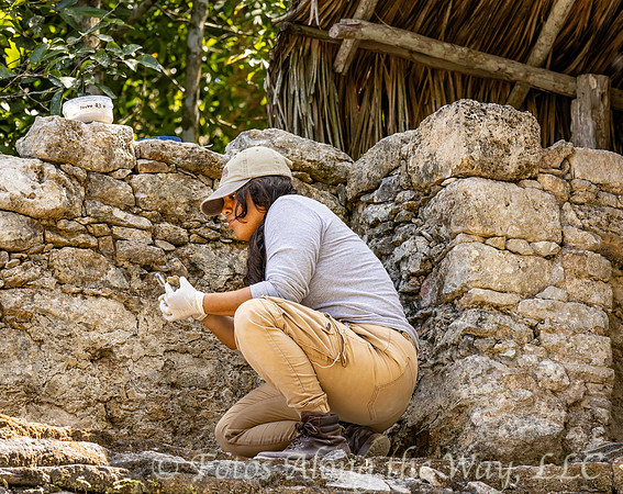Archaeologist at Work (Mexico)
