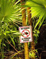 Spanish No Fishing Sign (Mexico)
