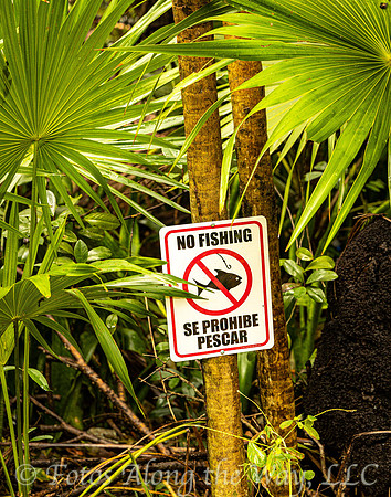Spanish No Fishing Sign (Mexico)