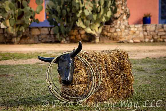 Cattle Roping Practice (Arizona)