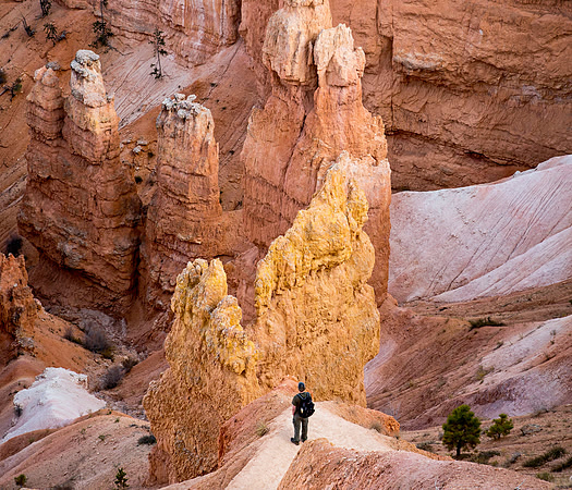 Hiker Ponders Hoodoos