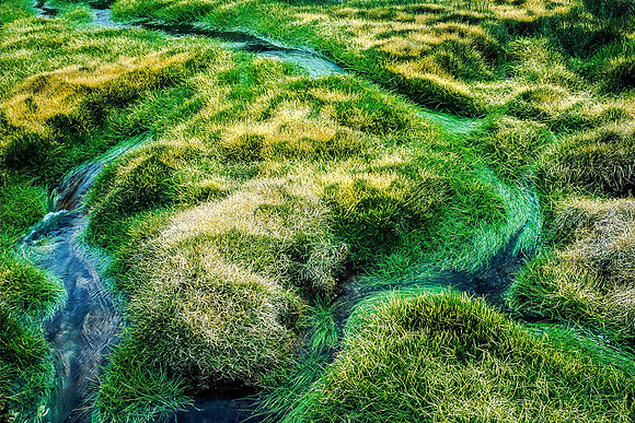 Grassy Meadow (Wyoming)
