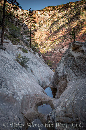 Water Pools in Rock Crevice (Utah)