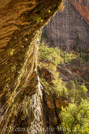 The Weeping Wall (Utah)