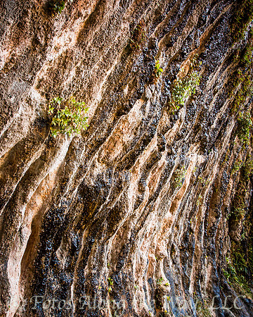 Weeping Wall Composition - Vertical (Utah)