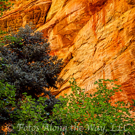 Orange Mountain and Trees (Utah)