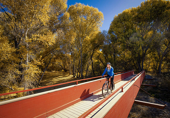 NOVEMBER - Biking through Watson Woods