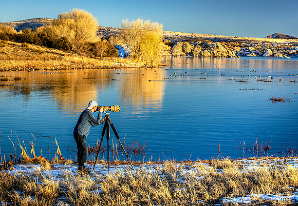 JANUARY - Photgraphing Migratory Birds at Willow Lake