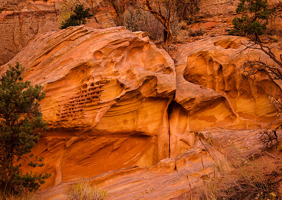 Lion Heads on Rock Wall (Utah)