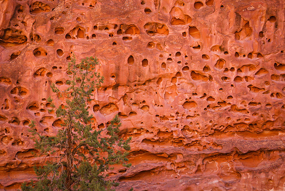 Sandstone Wall with Holes (Utah)