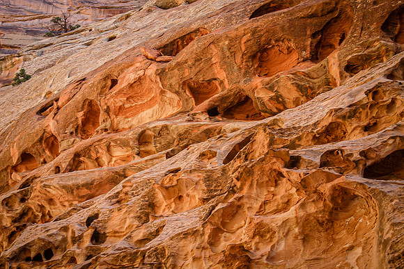 Golden Rock Wall (Utah)