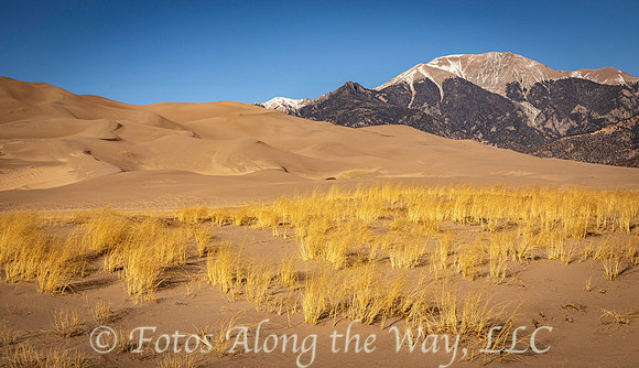 Grassy Sand Dunes (Colorado)