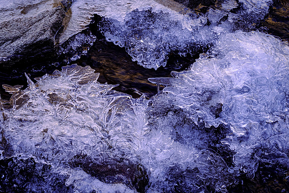 Ice Formations in Creek (Colorado)