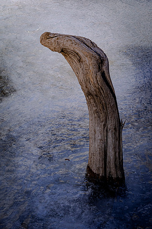 Wood and Ice (Colorado)