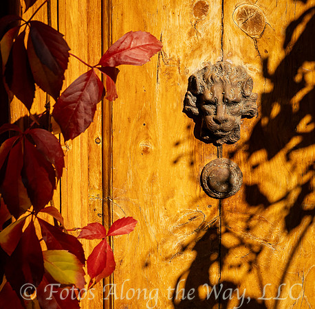 Romanian Door and Ivy