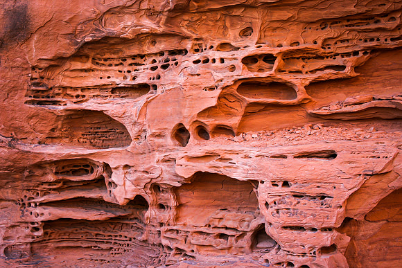 Sandstone Wall with Holes (Utah)