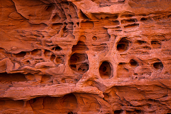 Worn Sandstone Wall (Utah)