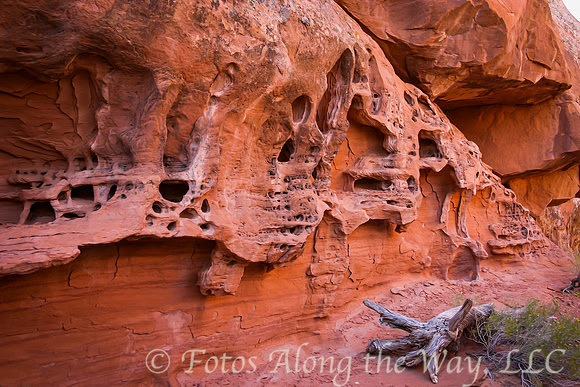 Sandstone Wall and Log (Utah)